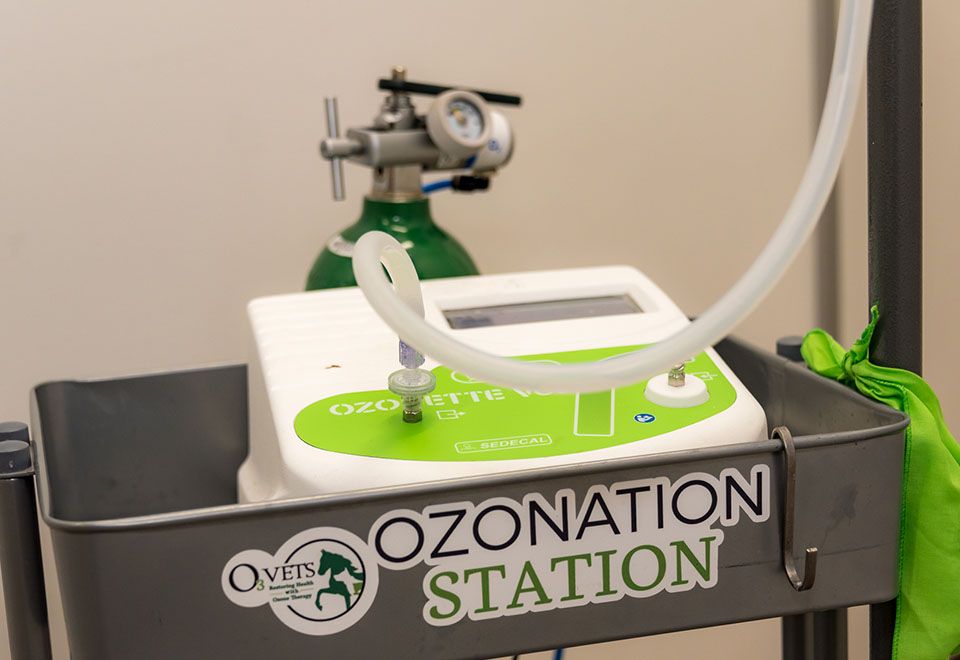 ozonation station