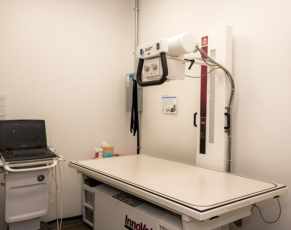 radiology room at east and west animal hospital