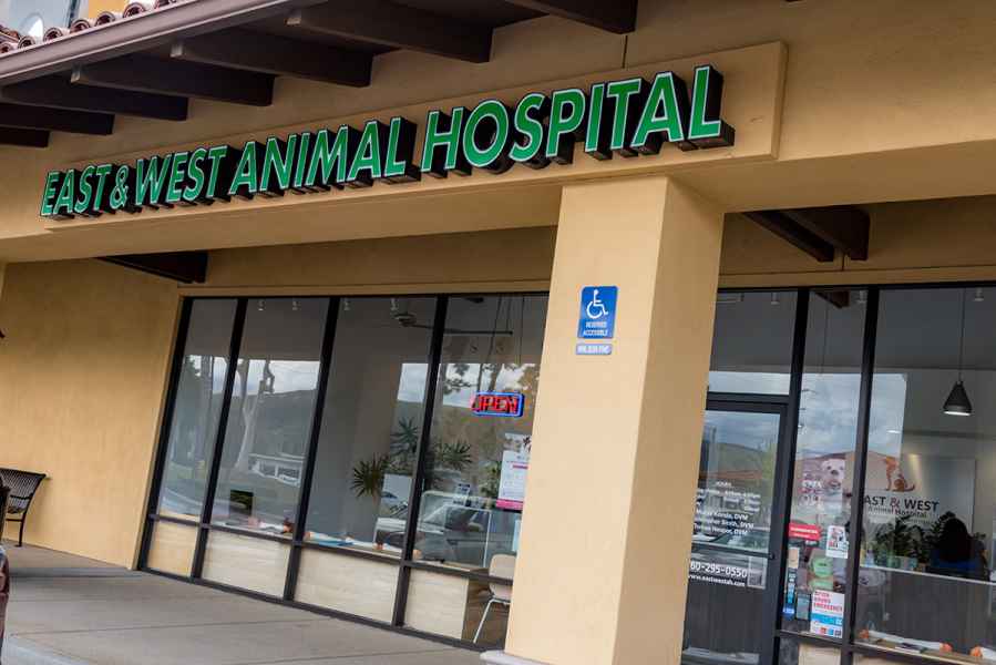 About East & West Animal Hospital in San Marcos, VA Urgent Pet Care and Holistic Veterinarian